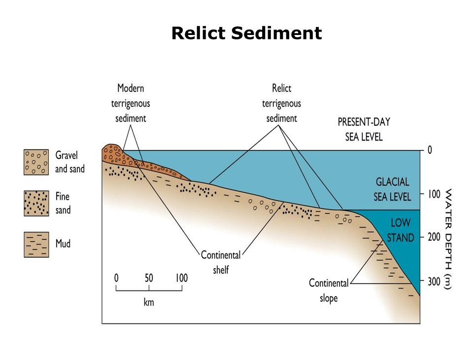 Velocidad de sedimentacion globular